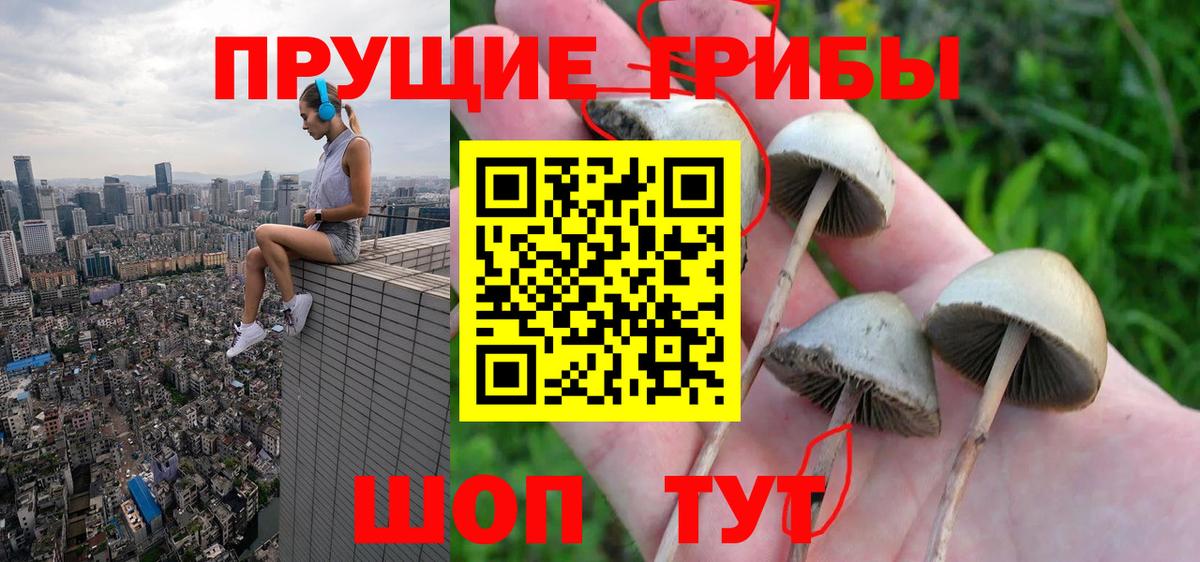 Коломна  Псилоцибиновые грибы Magic Shrooms  Вход с VPN 